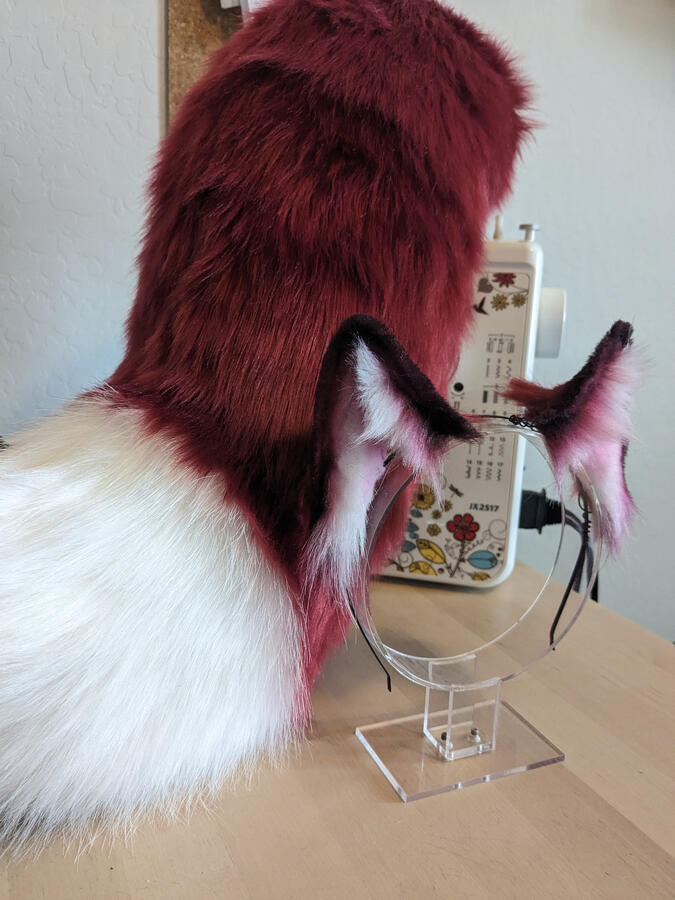 Red and white foxies