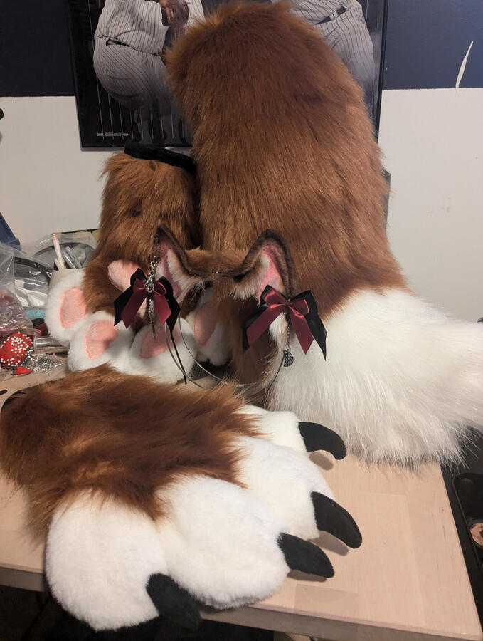 Fox ears, tails, paws, bows